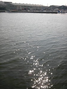 漁港の水の反射