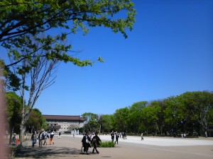 上野公園　の緑（スタバ前）
