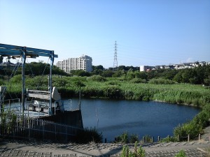 長津川親水公園　ＢＥＳＴ　ＰＯＩＮＴ