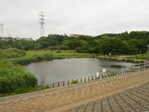 長津川公園