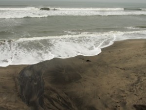 砂の模様と波