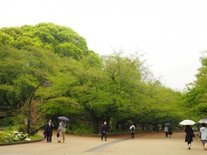 雨の上野公園