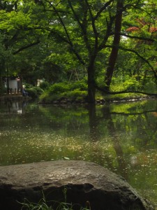 有栖川宮記念公園　の池