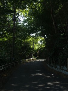 長福寺へいく道