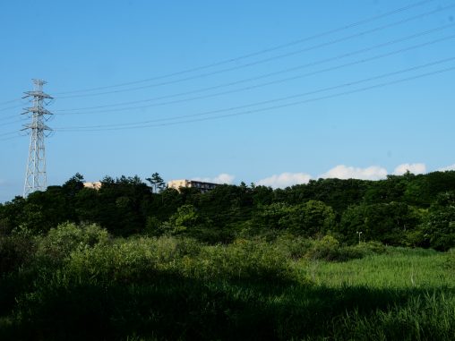長津川親水公園