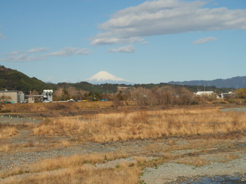 富士山見えました～