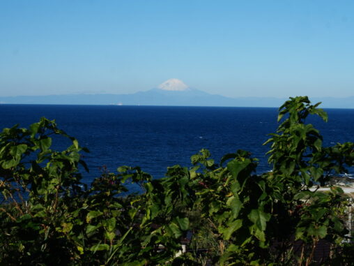 富士山きれーー洲崎灯台から