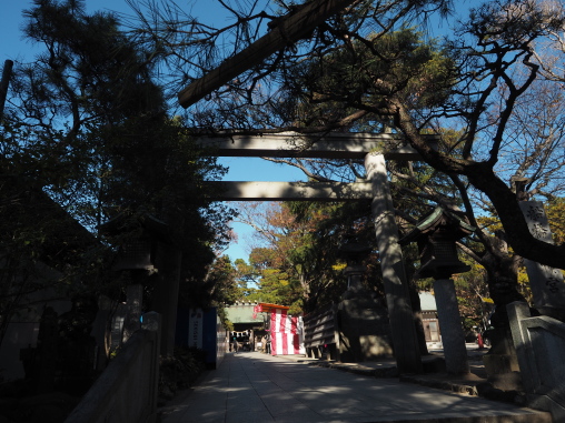 船橋大神宮2024.12.9