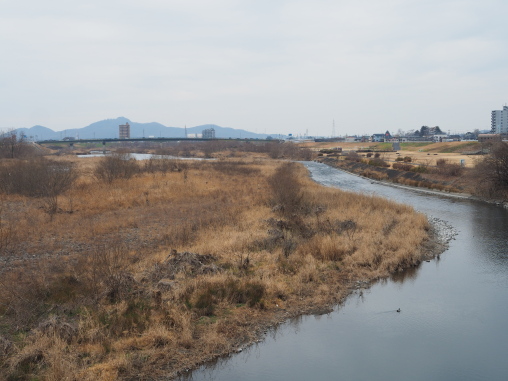 渡良瀬川