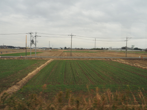 関東平野　東武線から