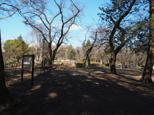 井の頭公園