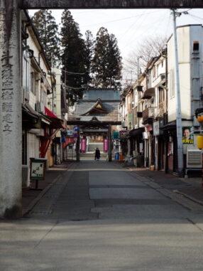 櫻山神社　参道2025.3.4