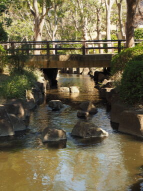 八蔵橋近くの親水公園