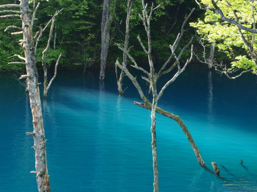 神秘的な光景