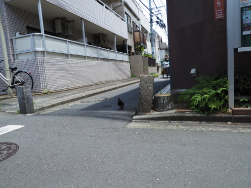 道の入り口に2つ石柱が