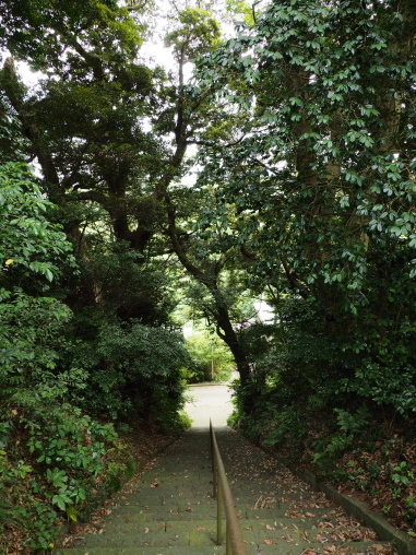 こうもう神社 参道の階段