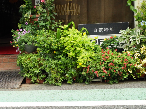 うず　だんだん看板が埋もれてきていい