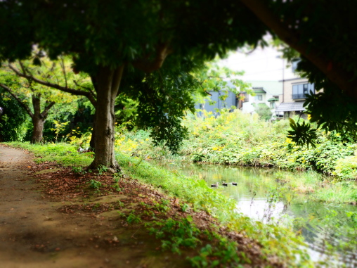 船橋 運河