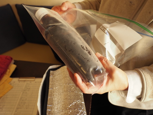 濃厚コーヒーエキス