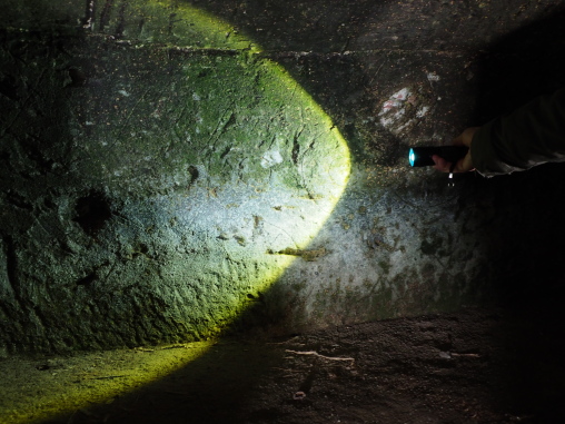 奥の壁画の感じ　ナギノ横穴