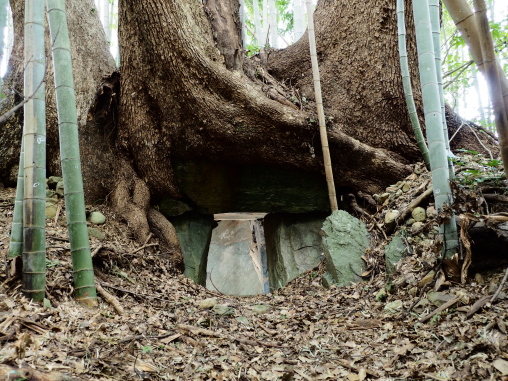 童男山古墳22号墳　入り口