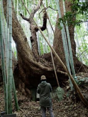 ジブリ古墳　童男山22号墳