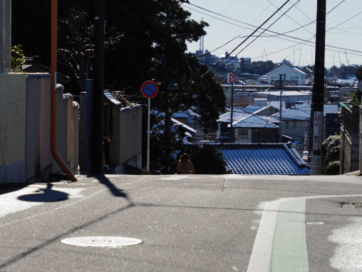 海老川珈琲から薬王院坂