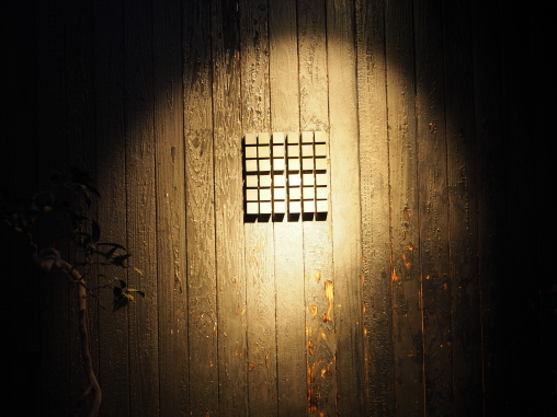 KOFFEE MAMEYA2026.2.24