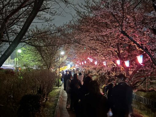 夜の海老川2026.3.29