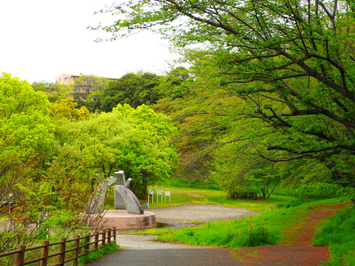 親水公園 緑が増えてきた