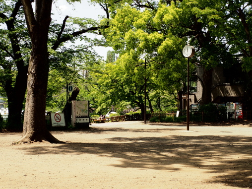井の頭公園2026.4.20