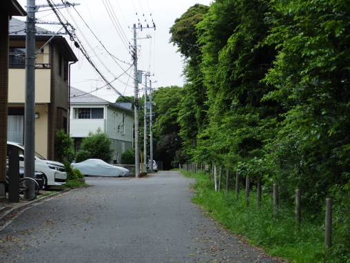 夏見緑地のヘリ