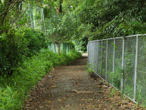 夏見台小学校裏