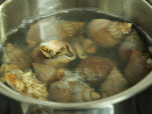 磯つぶ貝酒蒸し