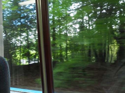 ほぼ森を抜ける鉄道