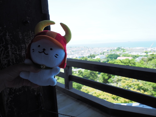 にゃん活　彦根城天守閣にて