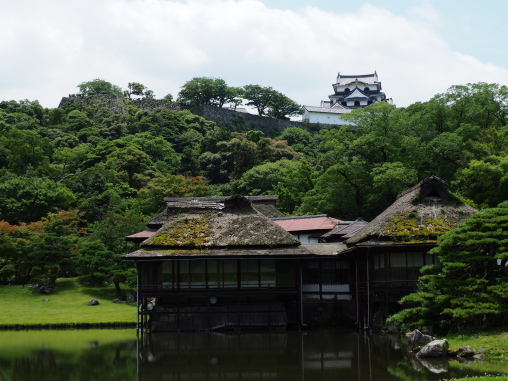 遠めの彦根城
