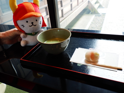 にゃん活　まっちゃ